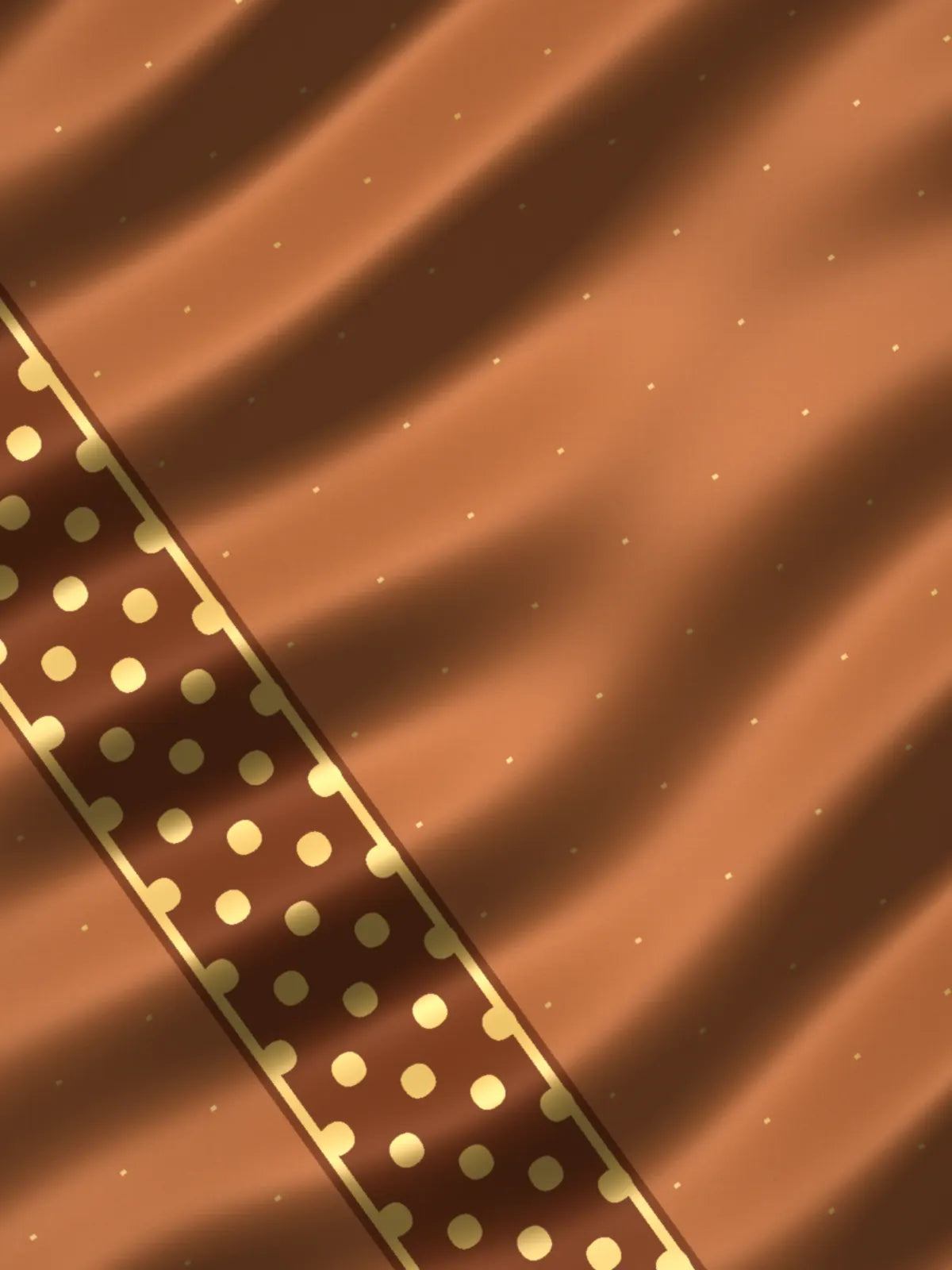 Tamra: copper tissue banarasi with a gold pallu, border detail